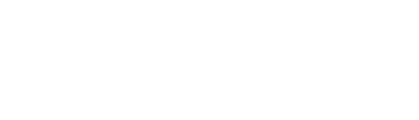 Logo Shopify