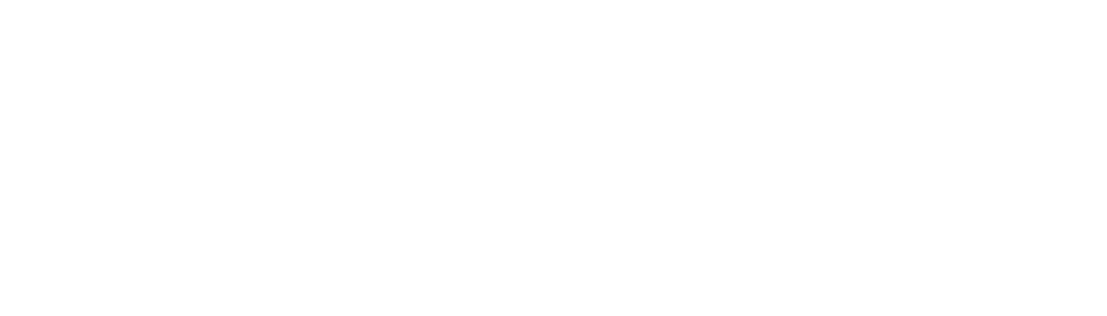 Logo Shopify
