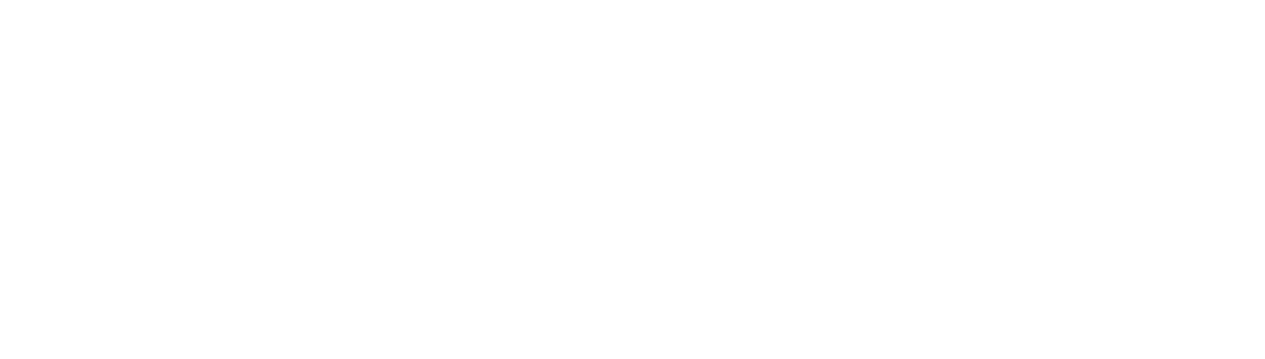 Logo Webflow